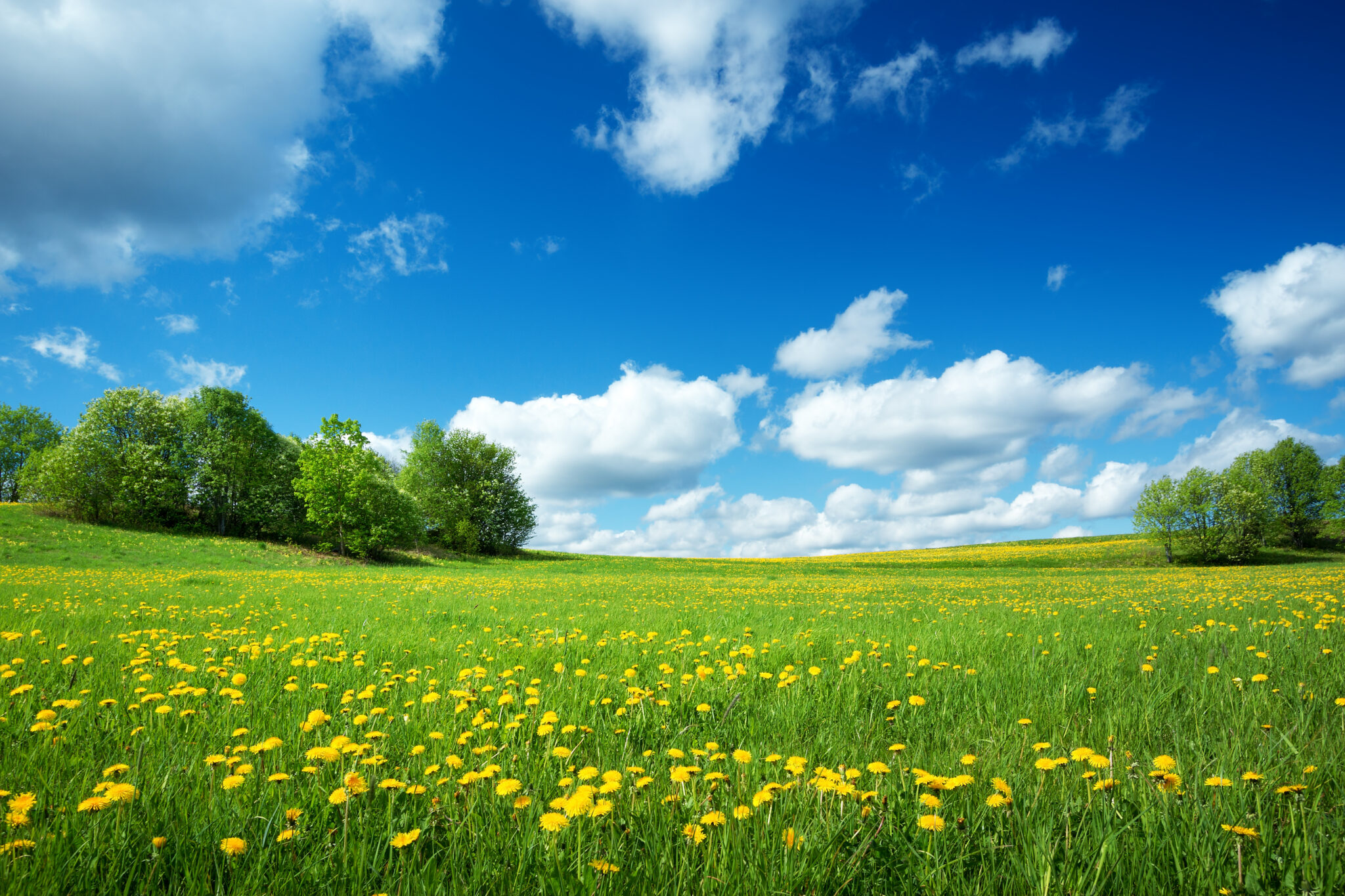 Why Does the Sky Look Different in Spring? The Changing Colors of the ...